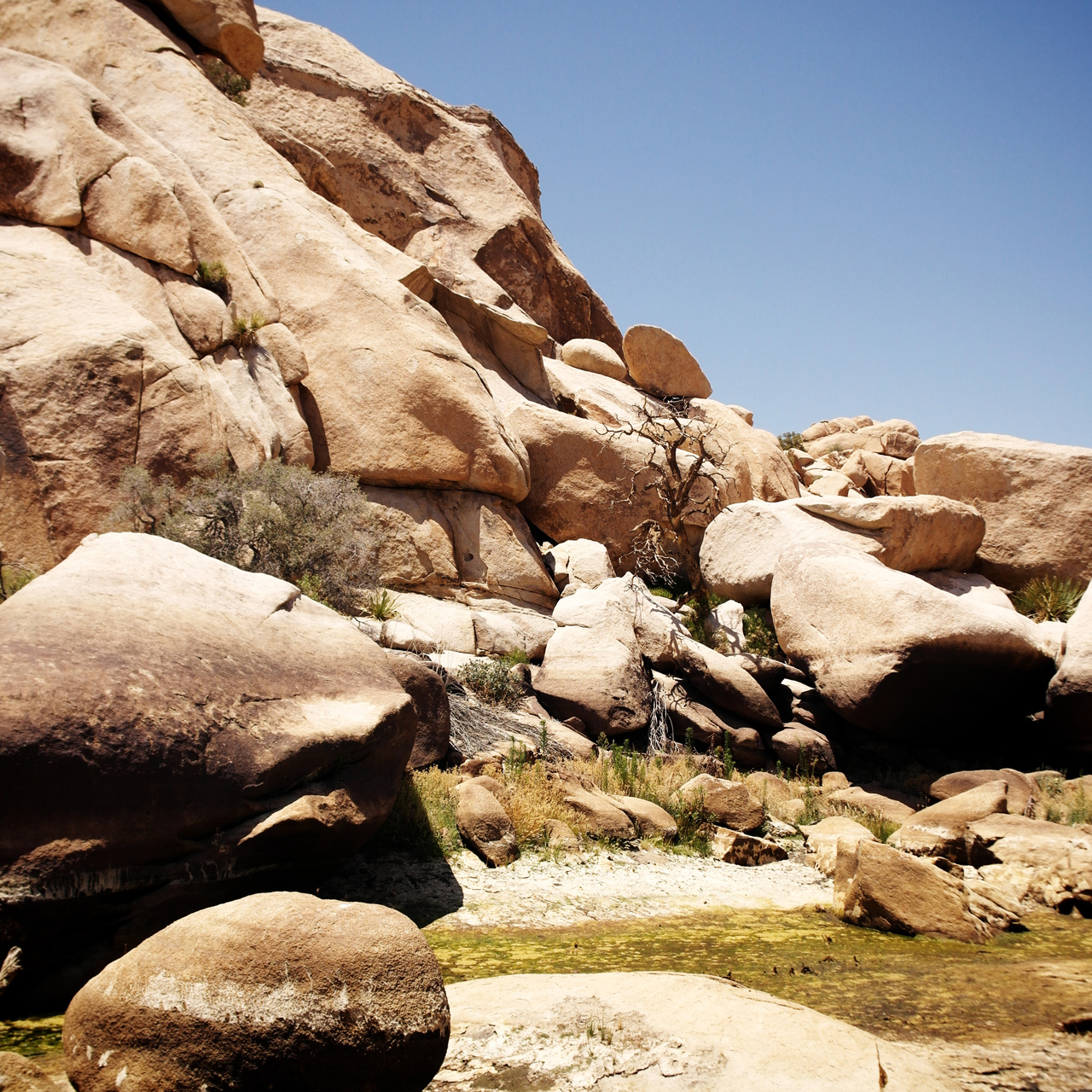 Joshua Tree National Park - Barker Dam Nature Trail