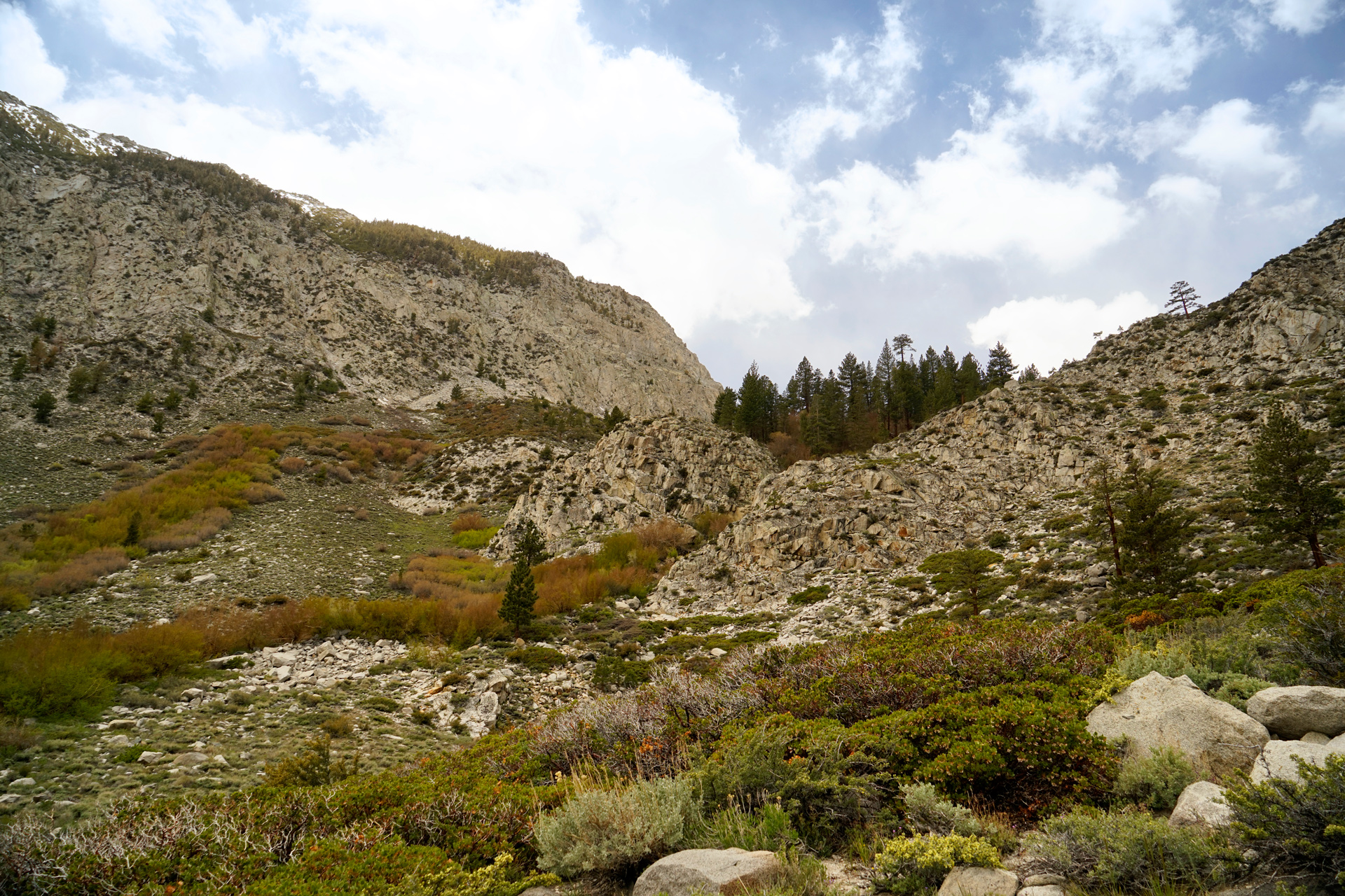 North Fork of Big Pine Creek Trail