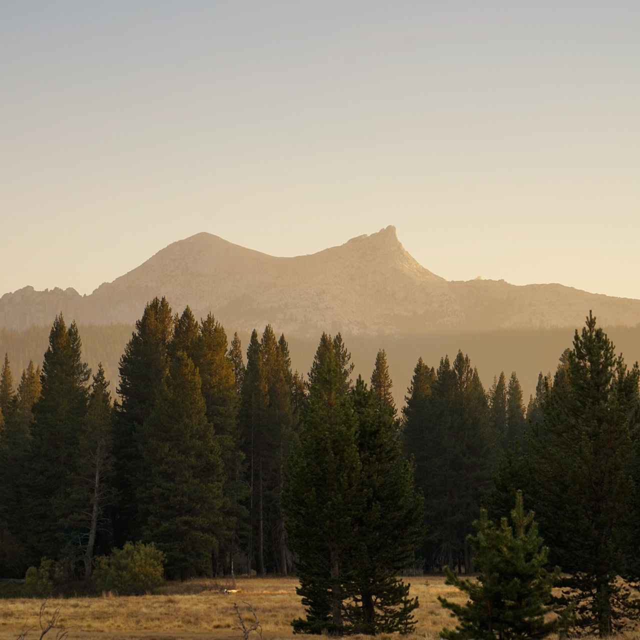 Yosemite - Tuolumne Meadows