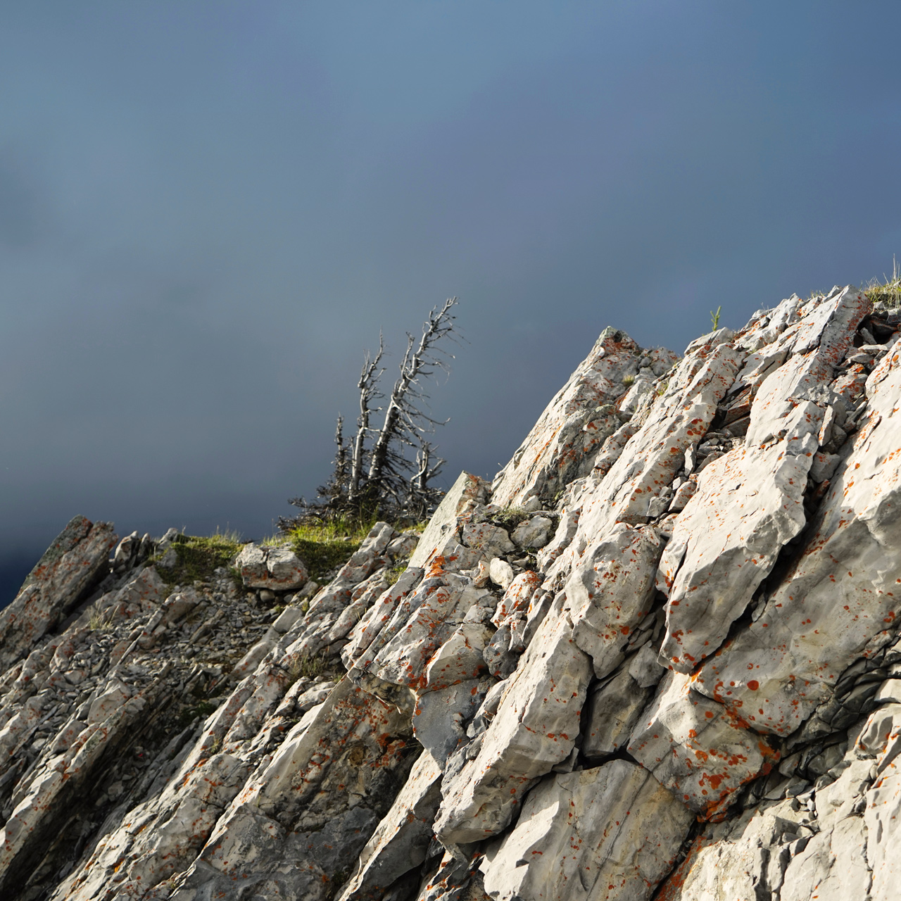 Banff - View from Sulphur Mountain