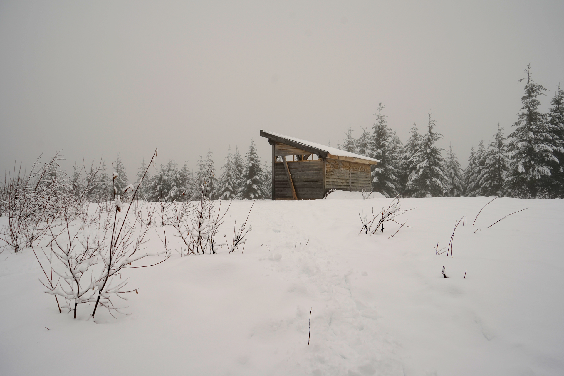 Whistler Olympic Park