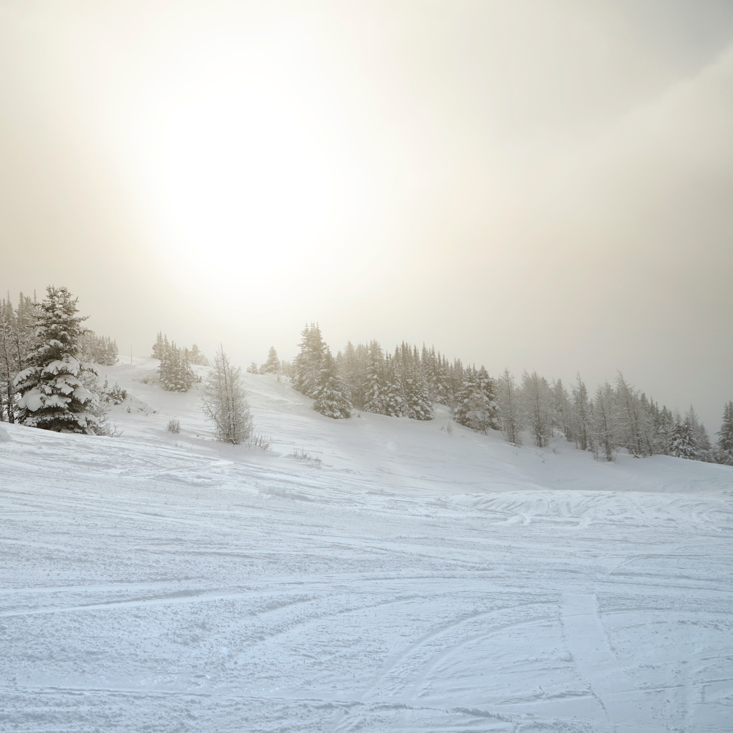 Lake Louise Ski Resort