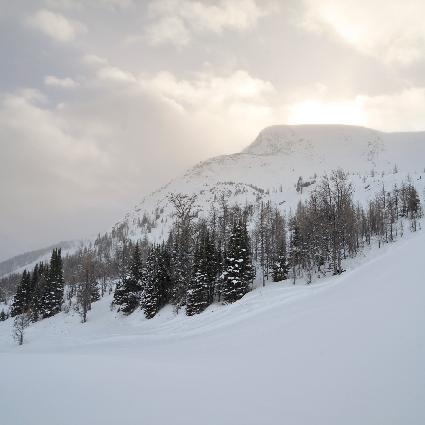 Lake Louise Ski Resort