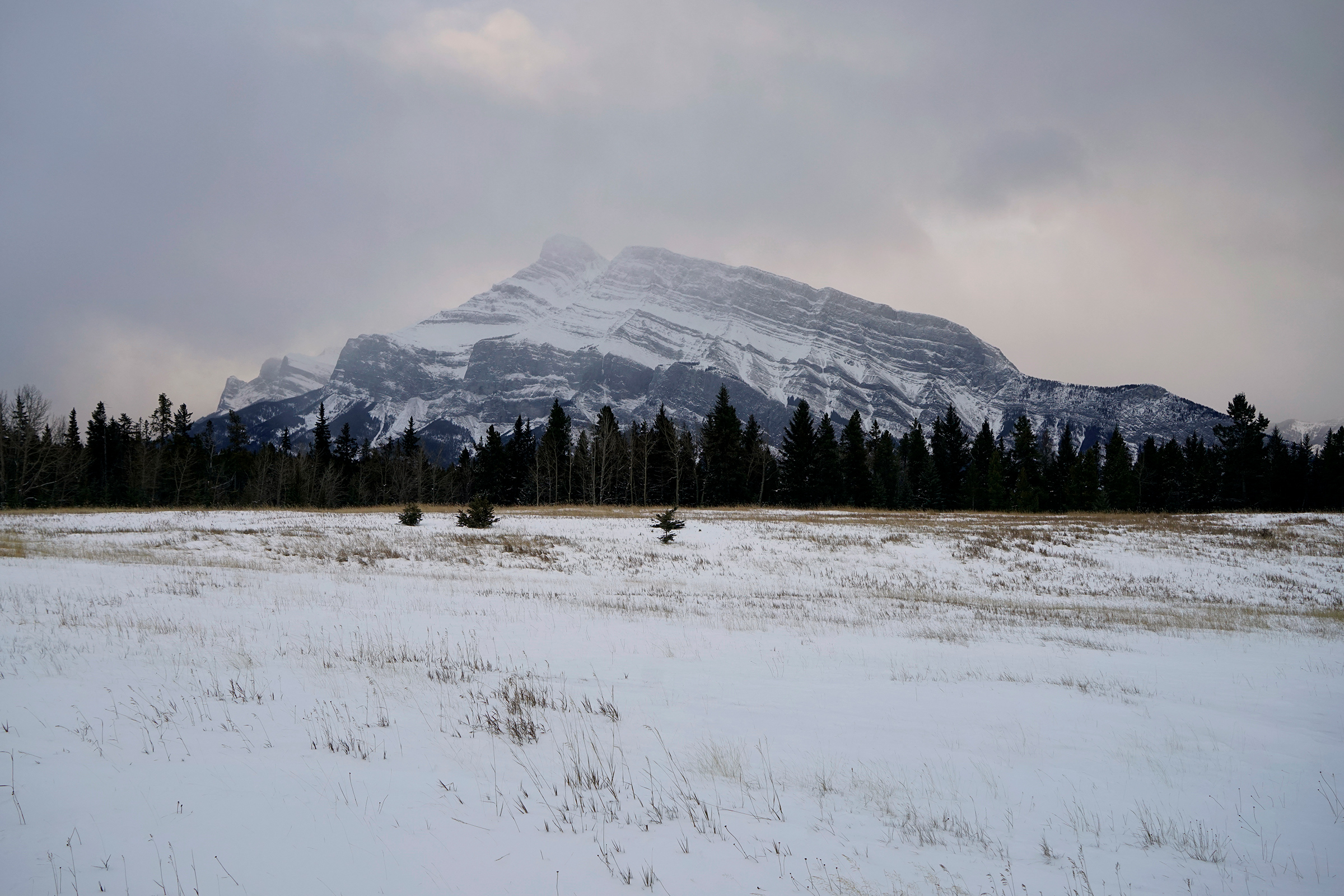 Banff - Winter near Lake Minnewanka