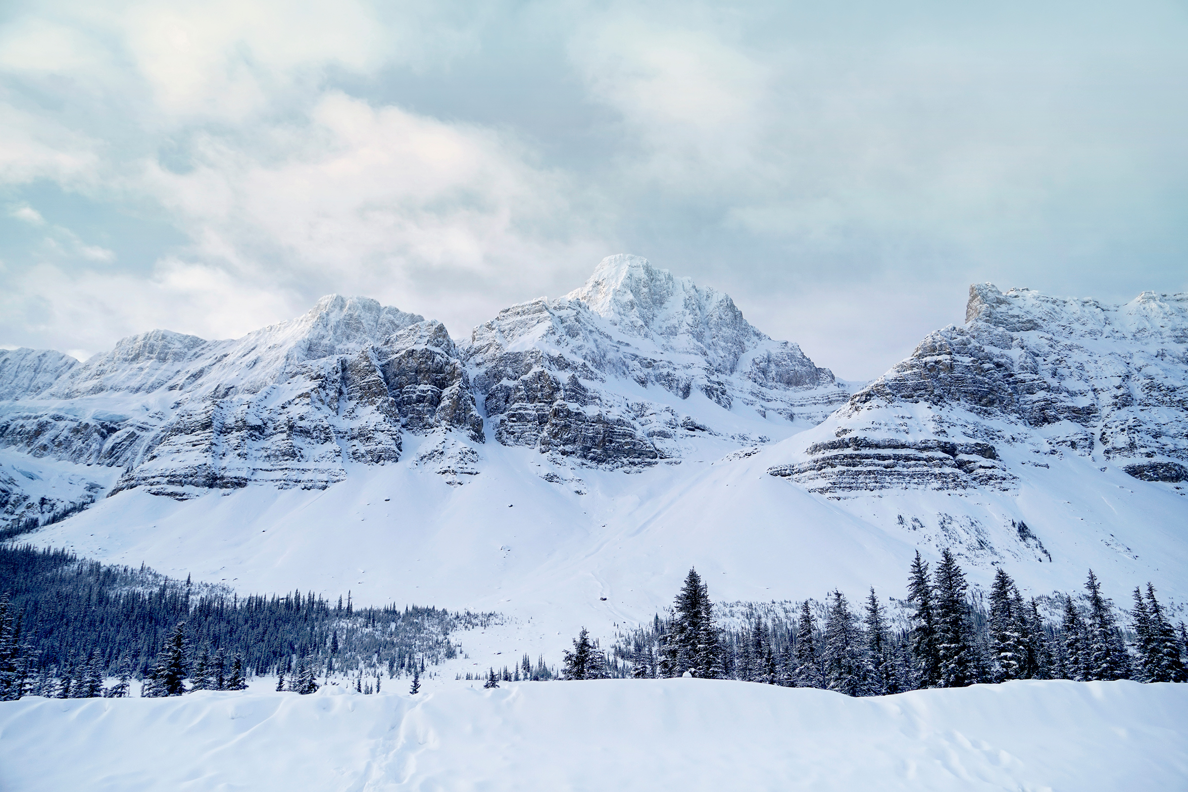 Near the Crowfoot Glacier along the Icefields Parkway