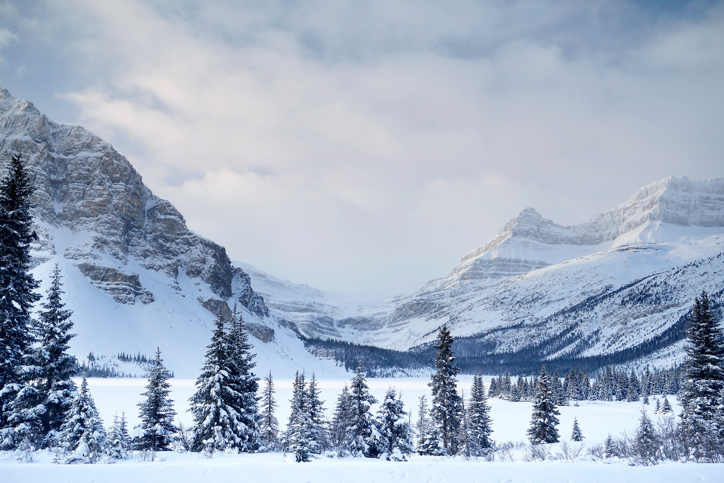 Bow Lake, Icefields Parkway