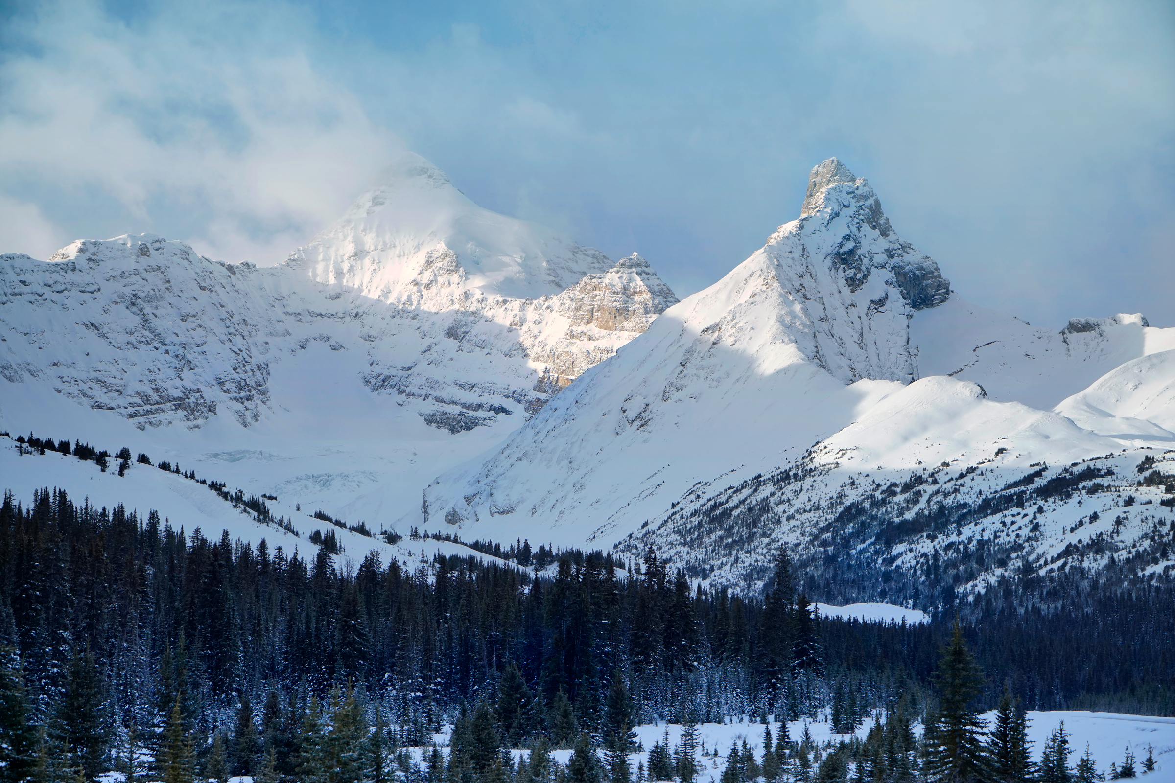 Parkers Ridge, Icefields Parkway