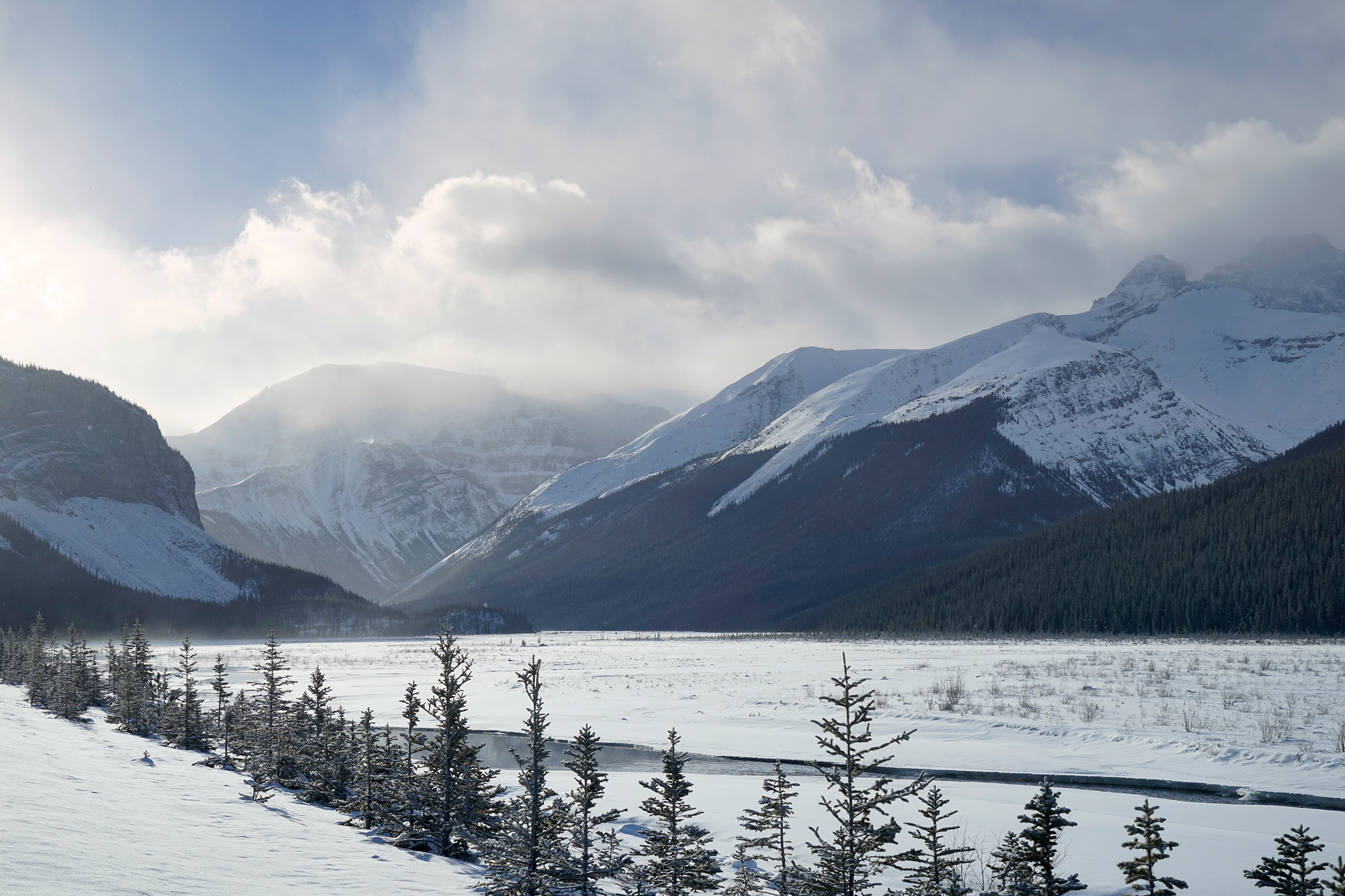 Beauty Creek, Icefields Parkway