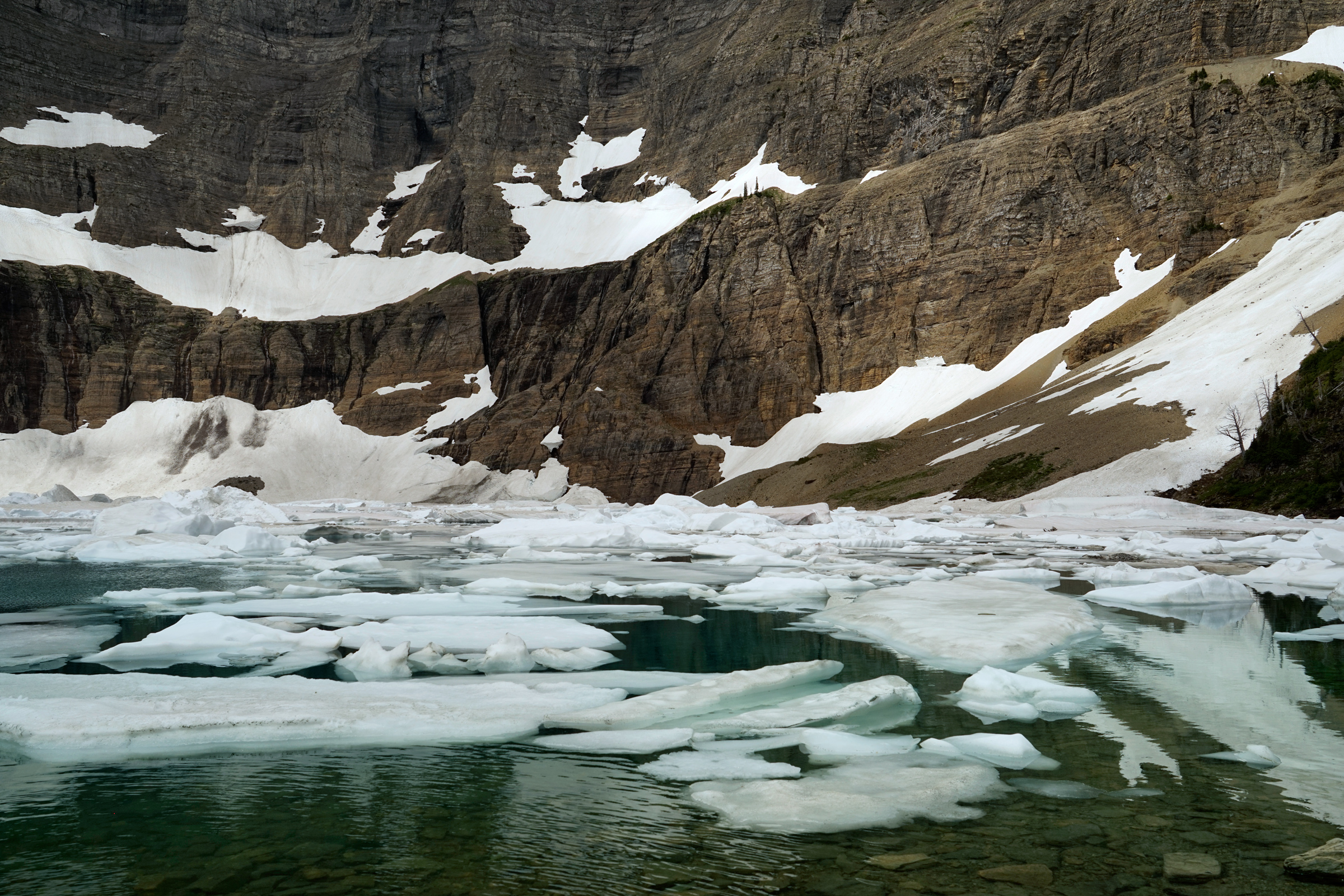 Image result for iceberg lake glacier mosquitoes