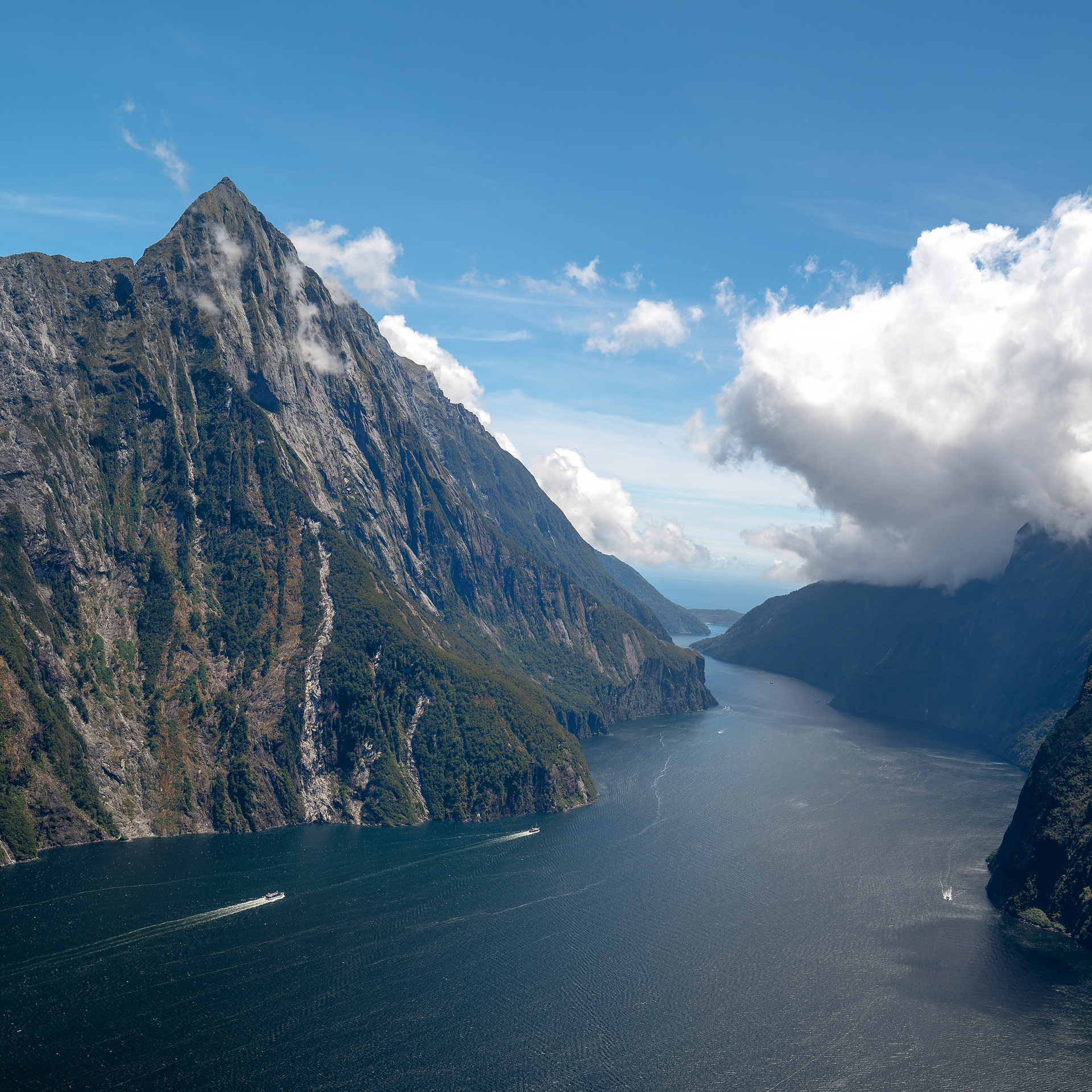 Milford Helicopter Tour