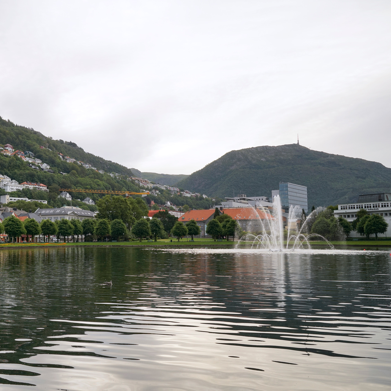 Bergen - Lille Lungegardsvannet (Lake)