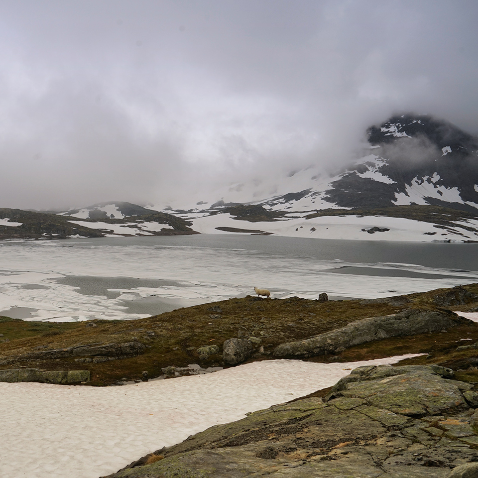Norway - Sognefjellshytta