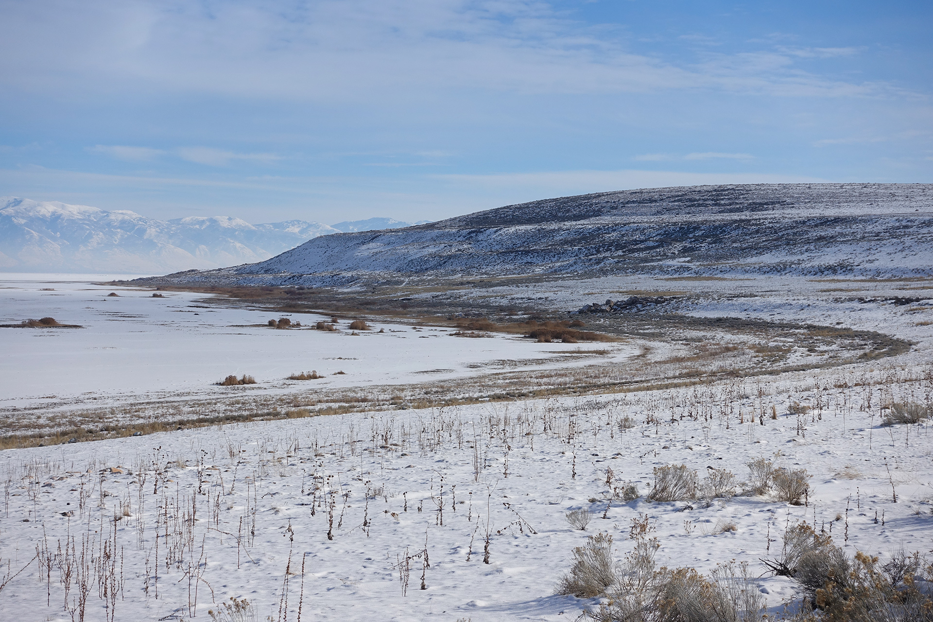 Utah Winter - Antelope Island
