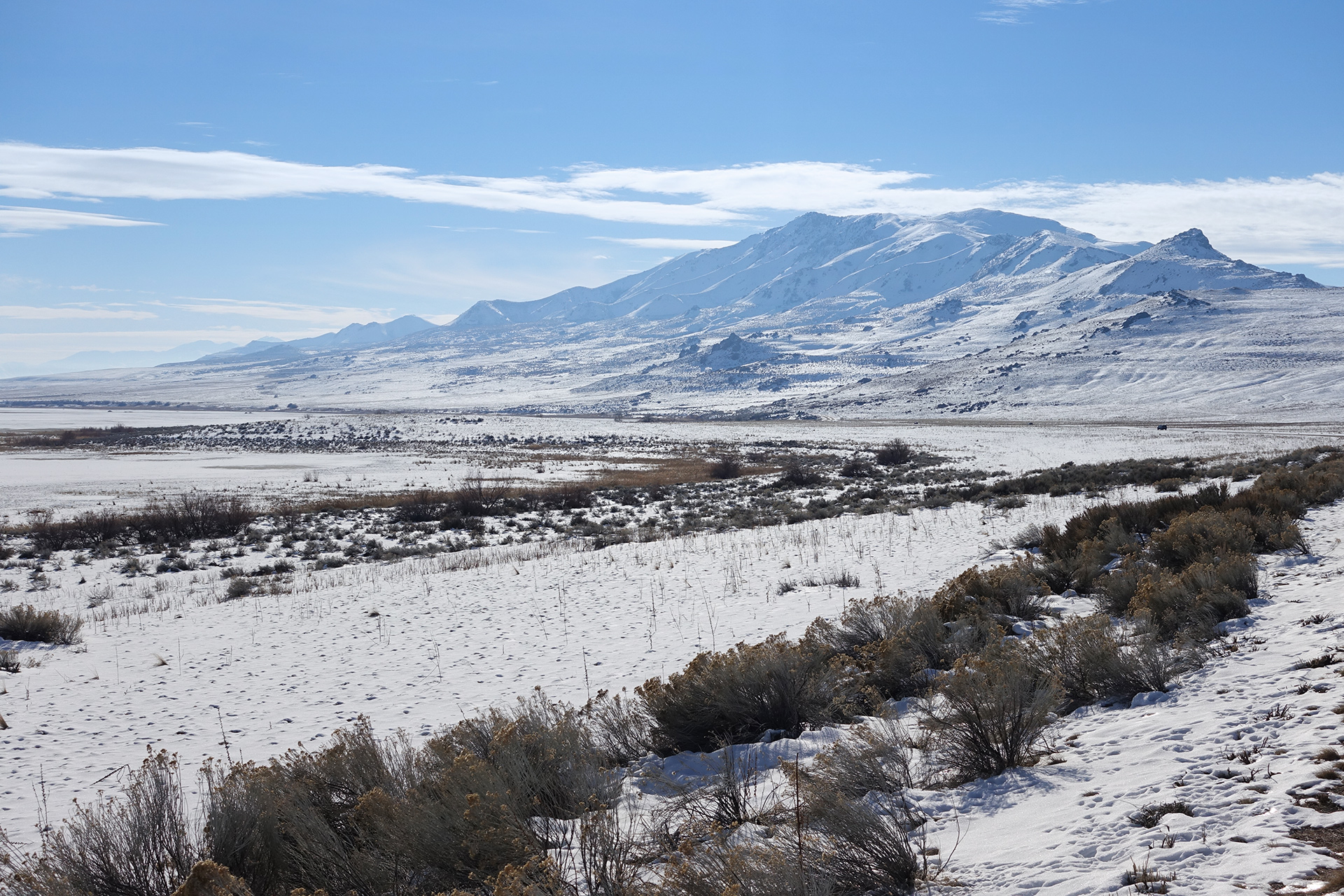Utah Winter - Antelope Island