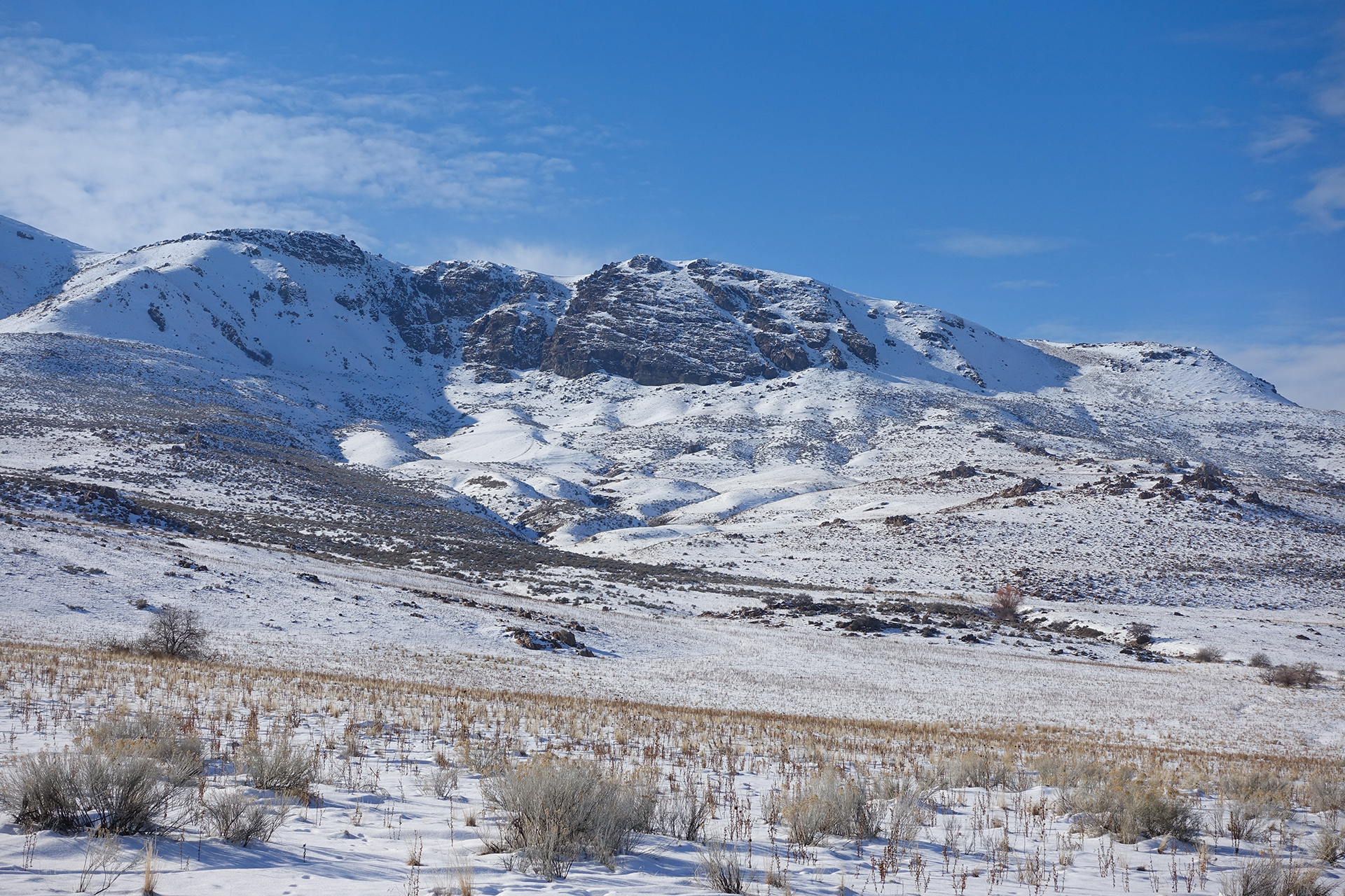 Utah Winter - Antelope Island