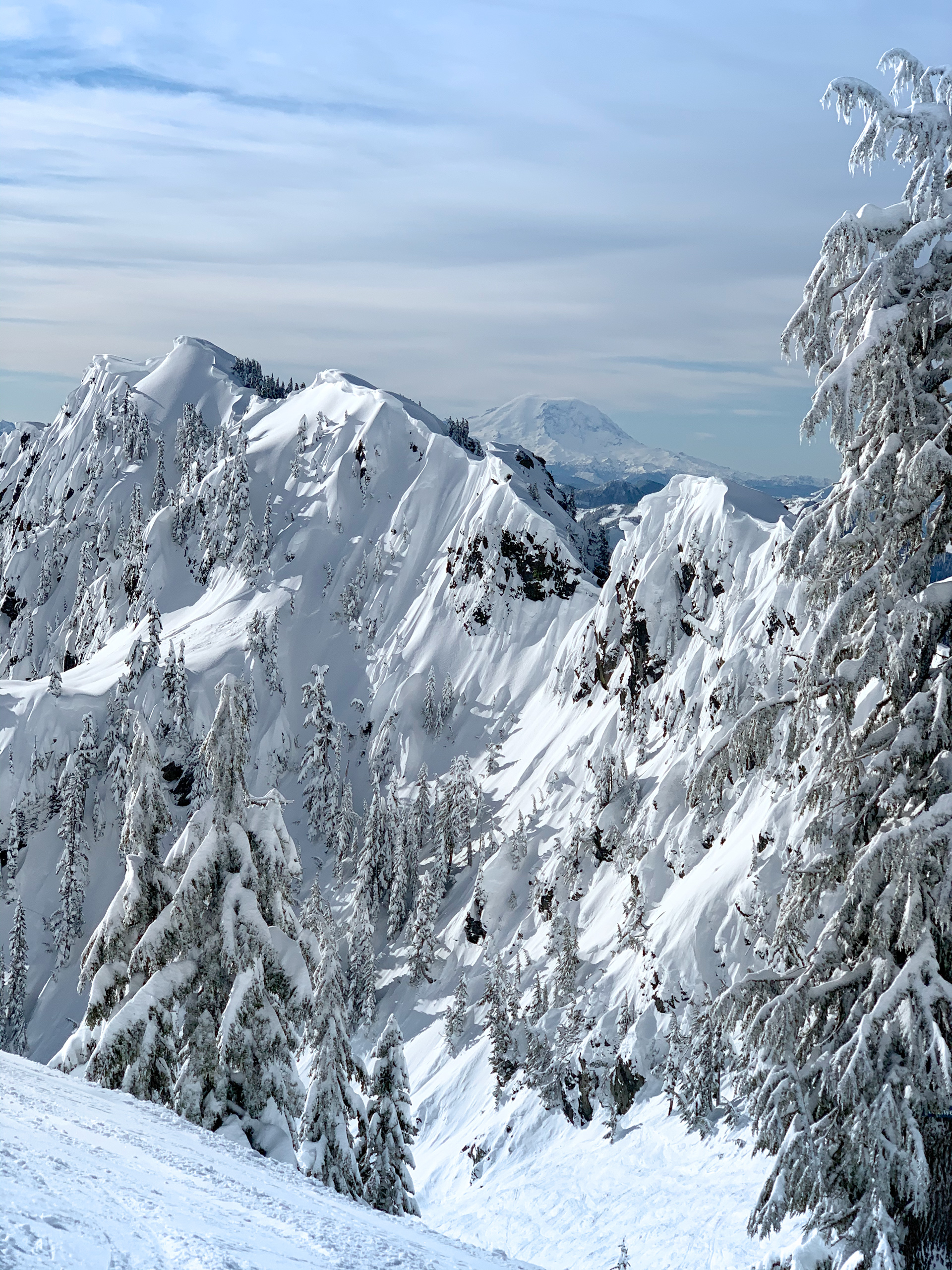 Alpental - Mt. Rainier from Edelweiss Bowl