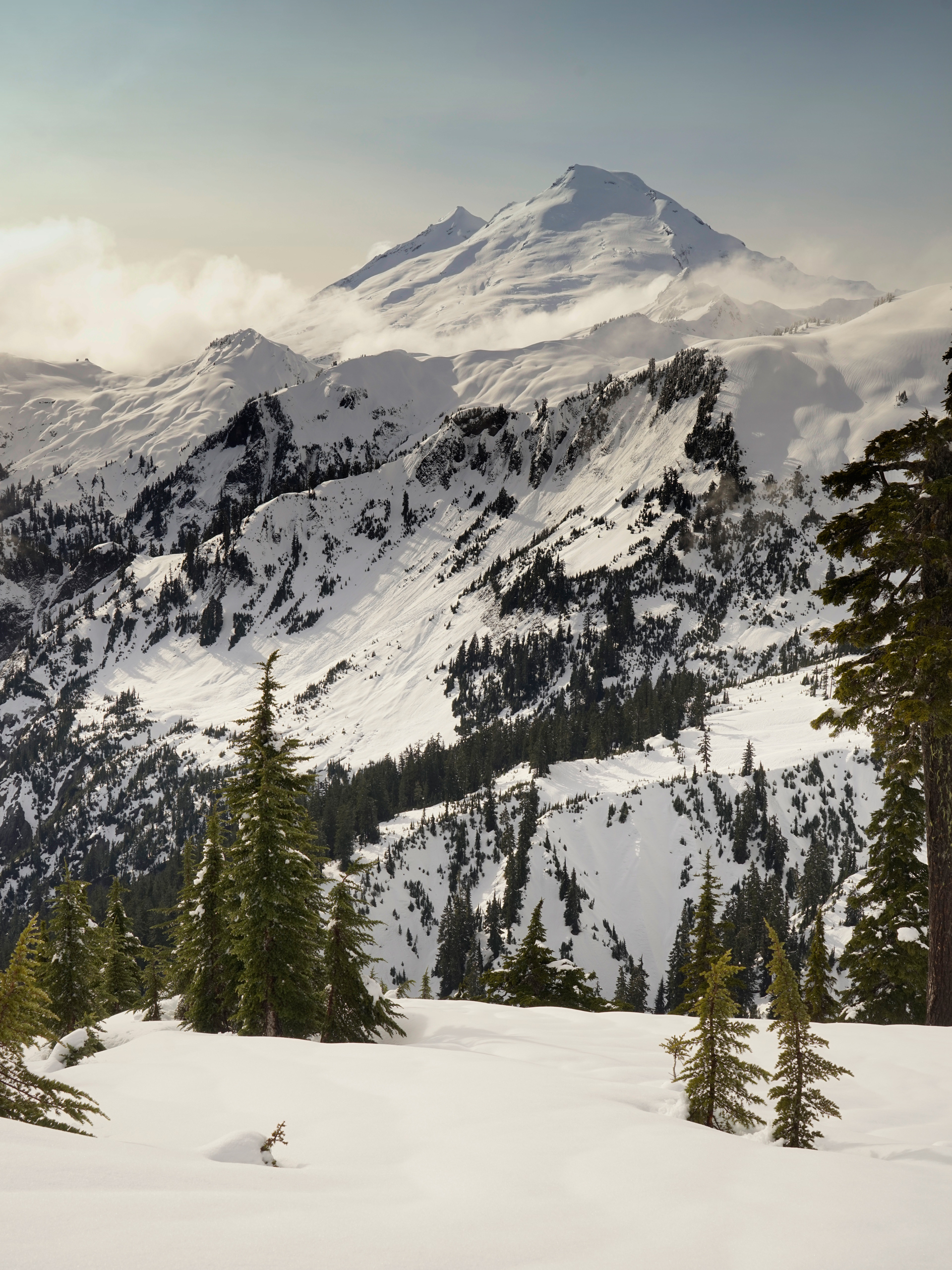 Mt. Baker - Artist Point Snowshoe Trail