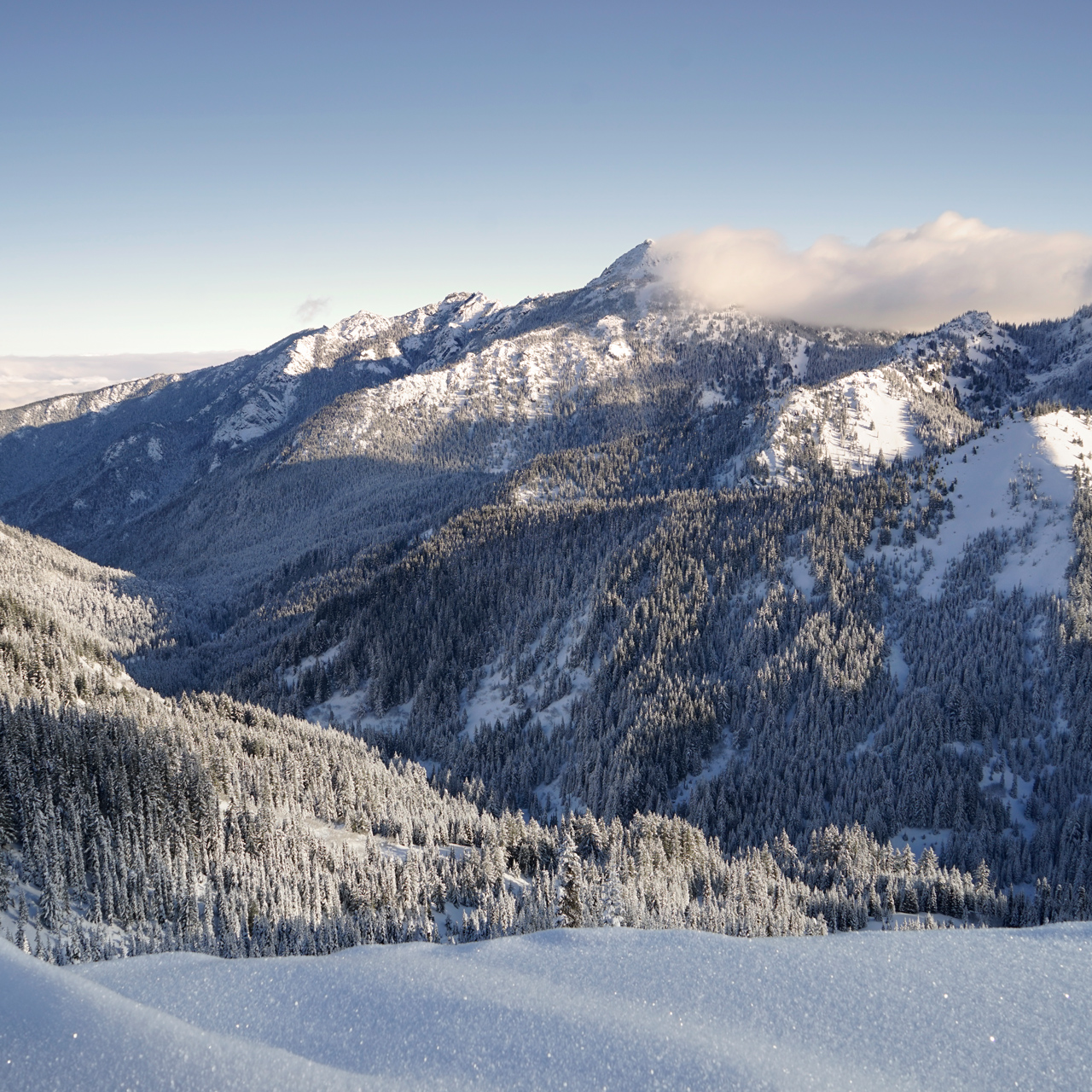 Washington - Hurricane Ridge
