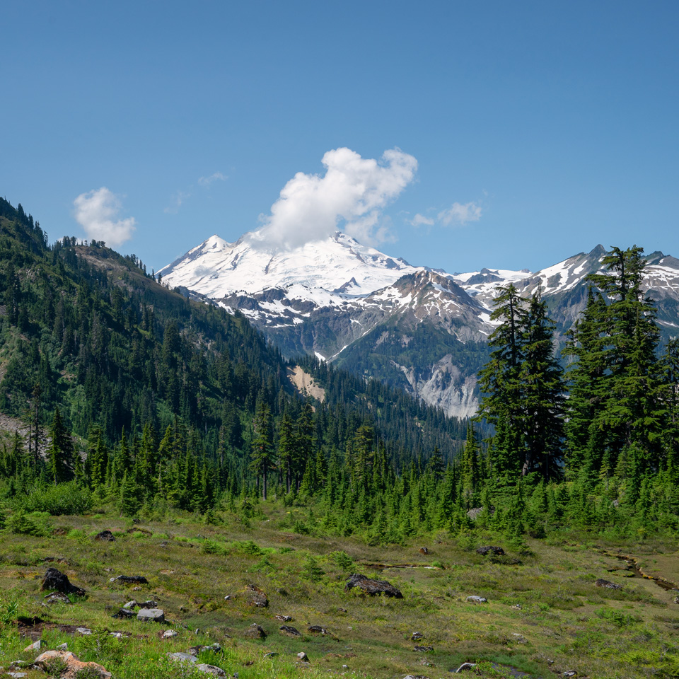 Views of Mt Baker along the Lake Ann Trail