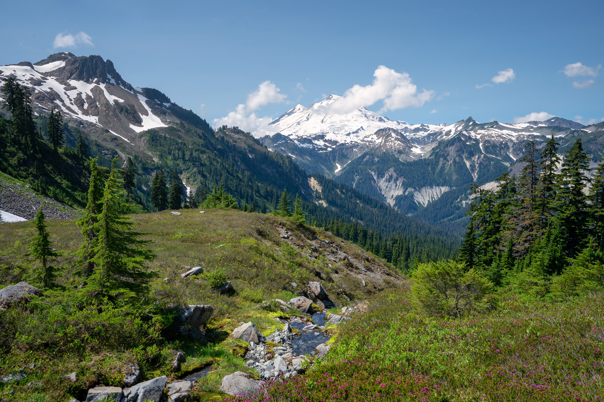 Views of Mt Baker along the Lake Ann Trail