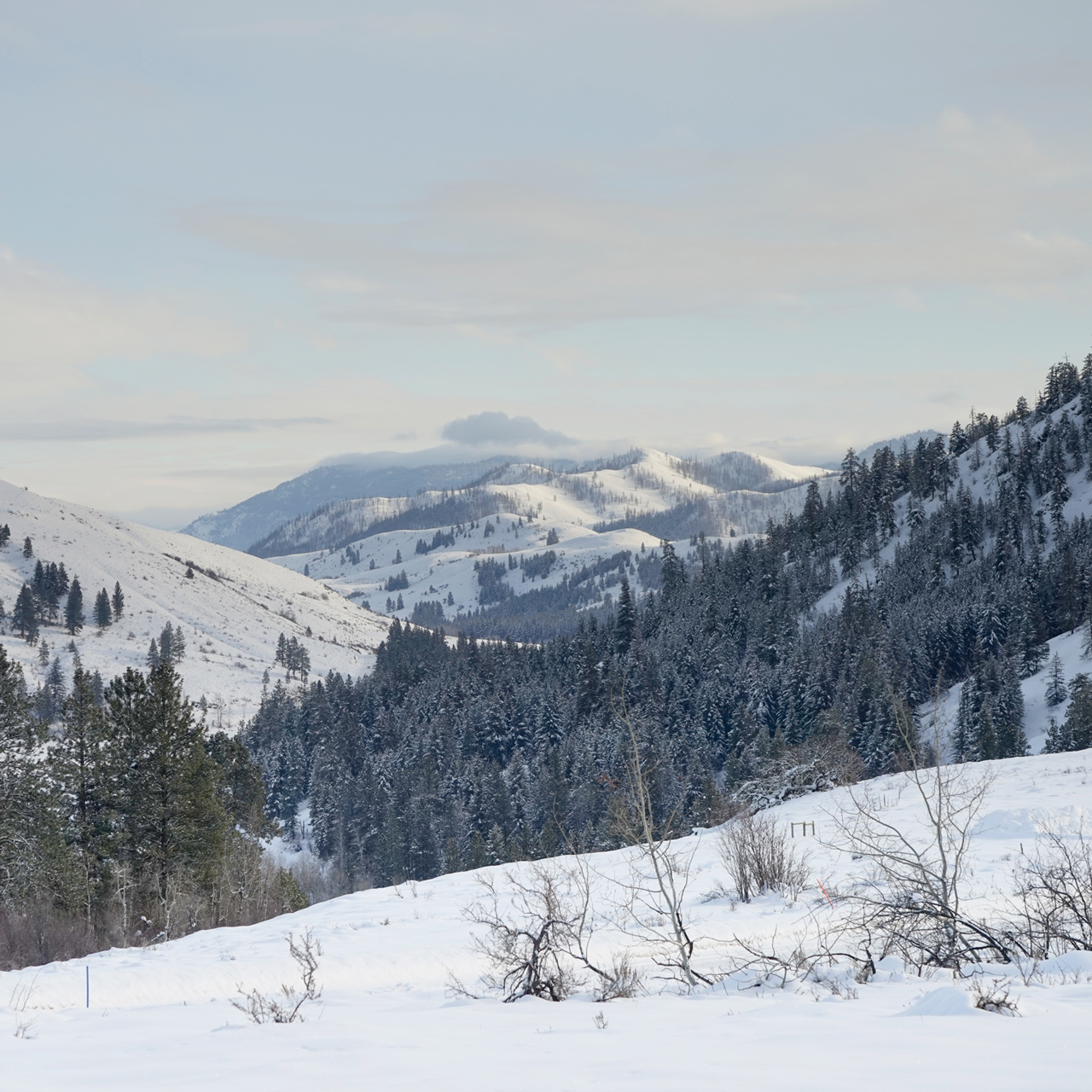 Washington - Sun Mountain