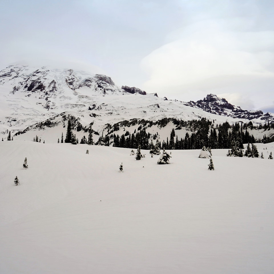 Washington - Mt. Rainier - Mazama Ridge Snowshoe